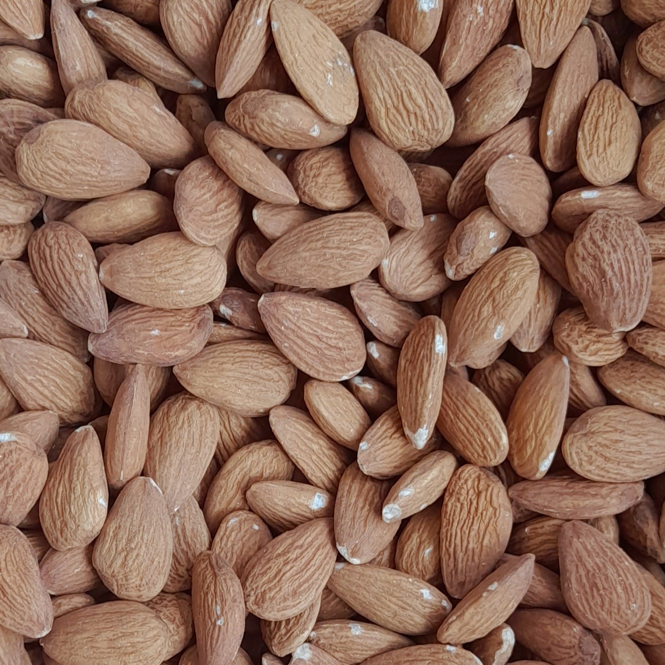 مغز بادام درختی خام (1000 گرمی)