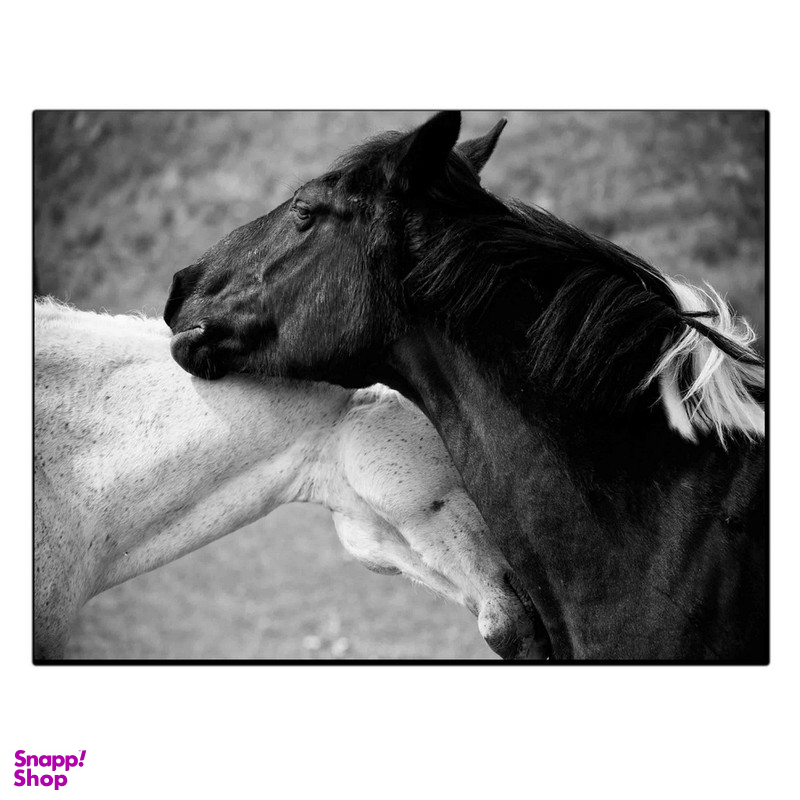 تابلو شاسی بکلیت طرح اسب زیبا مدل SH-11811