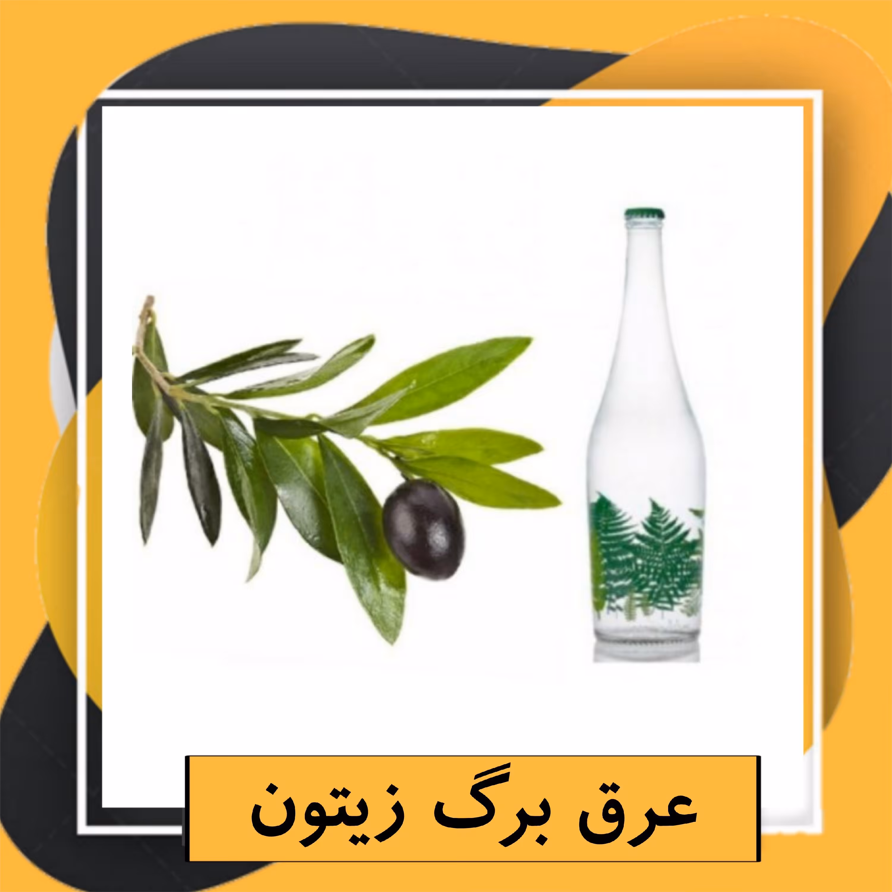 عرق برگ زیتون (1 لیتری)