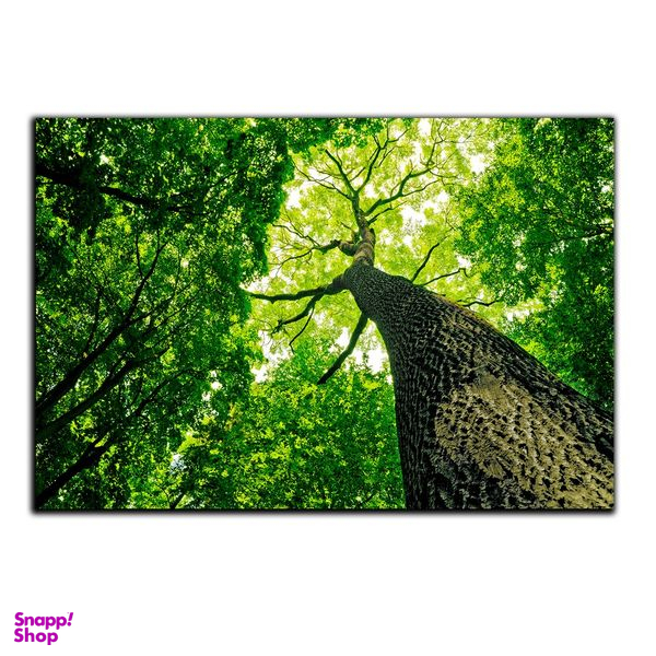 تابلو شاسی بکلیت طرح طبیعت و جنگل مدل SH-S1091