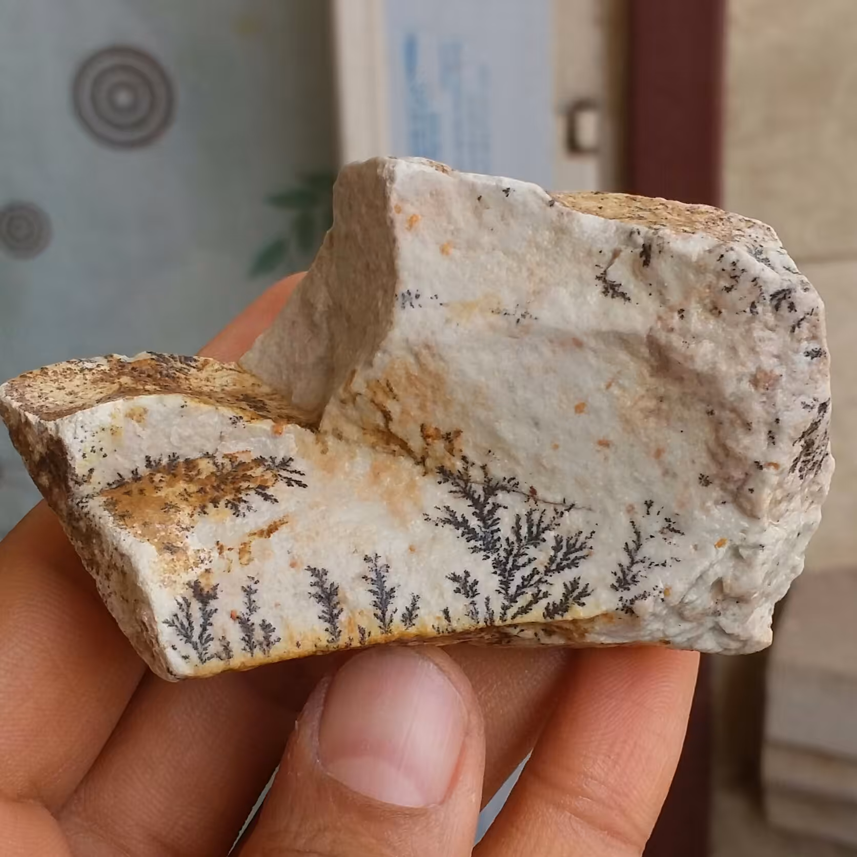 سنگ راف 100 در 100 طبیعی شجر دندریتی یا فسیلی محشر خاص شاهکار خلقت
شجر واضح خاص
کد10981