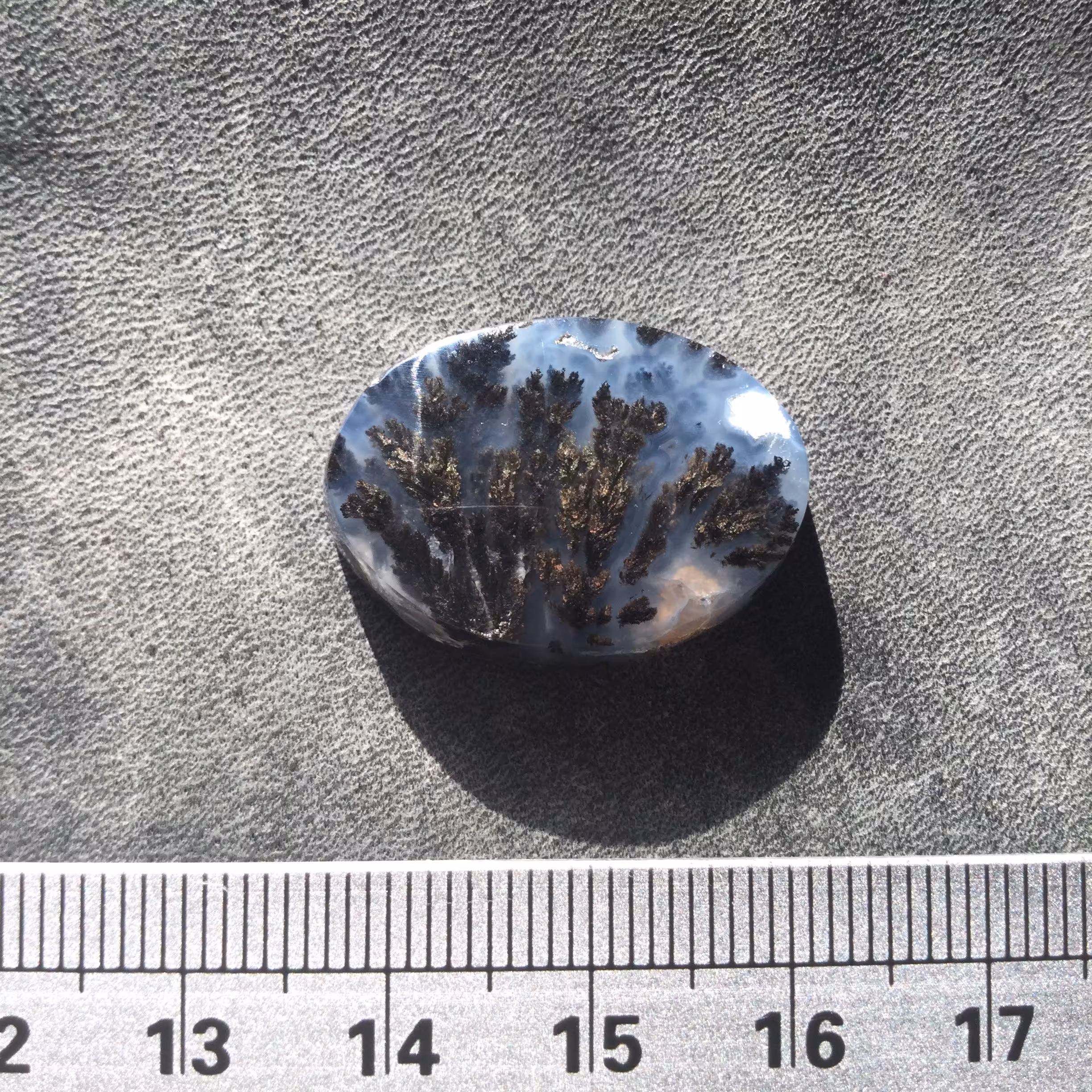 شجر سیاه معدنی منظره جنگل سوخته