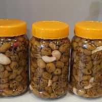 زیتون فرابکر گریل شده  700 گرم بسیار لذیذ 