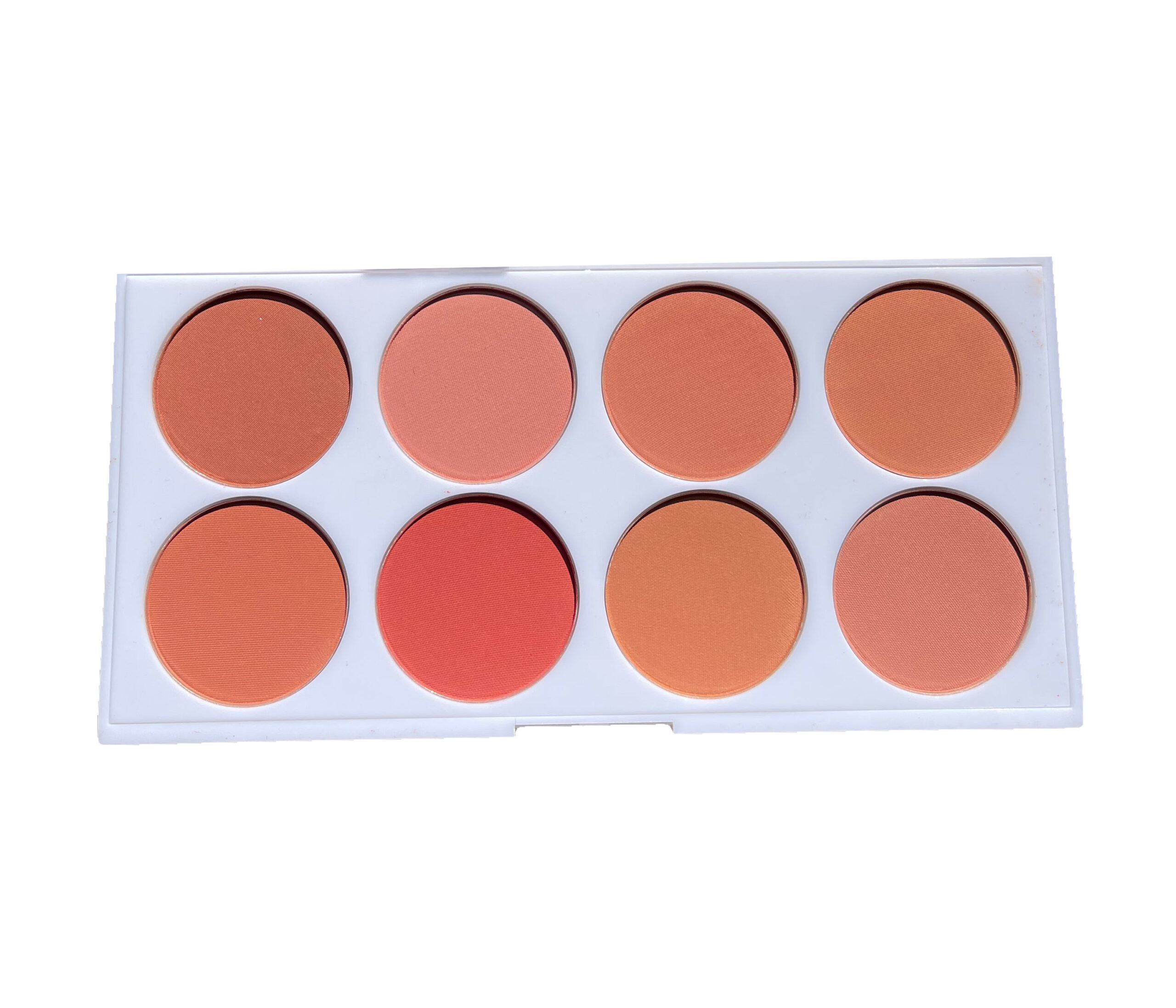 رژگونه 8 رنگی تری کیو بیوتی