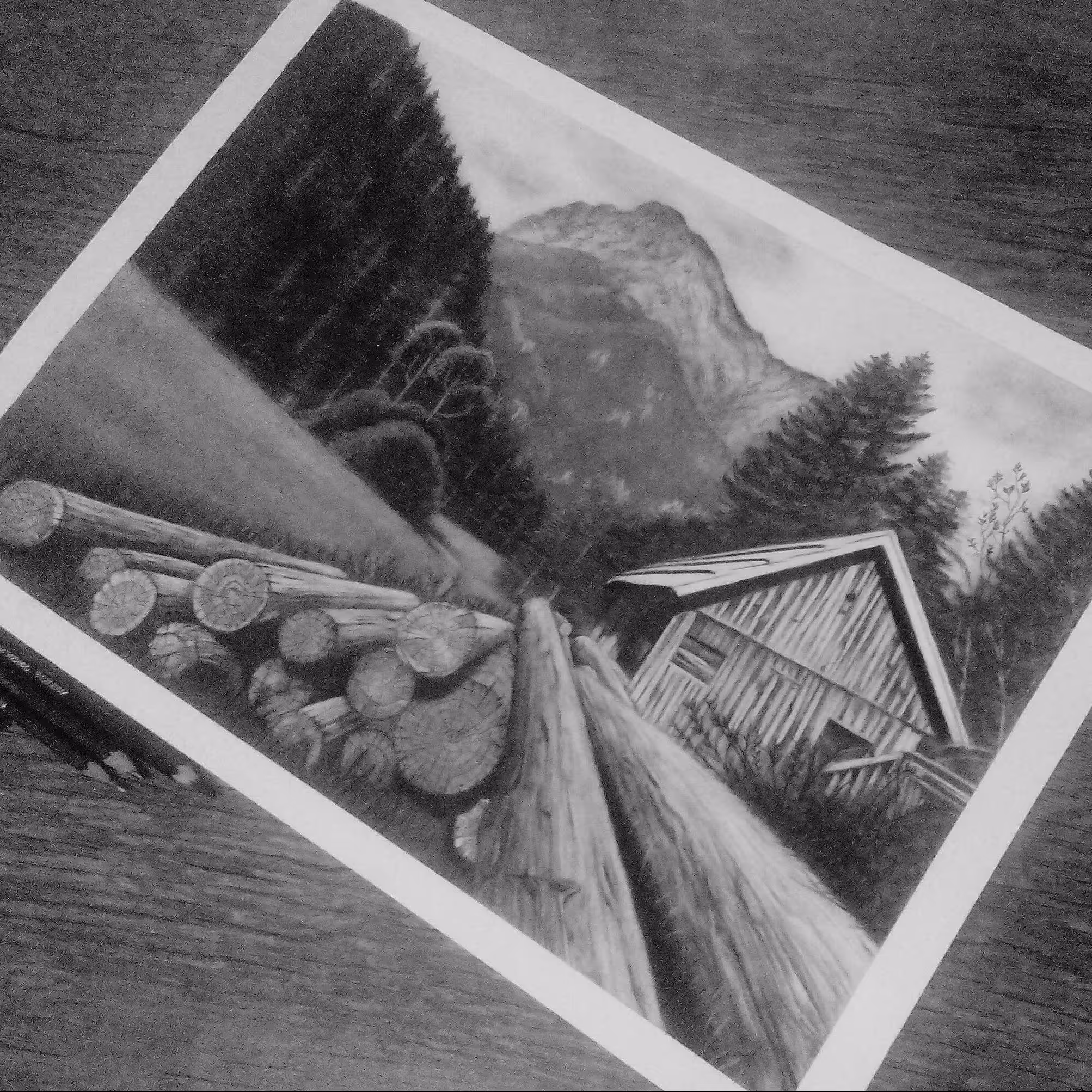 سفارش تابلو منظره  سیاه قلم