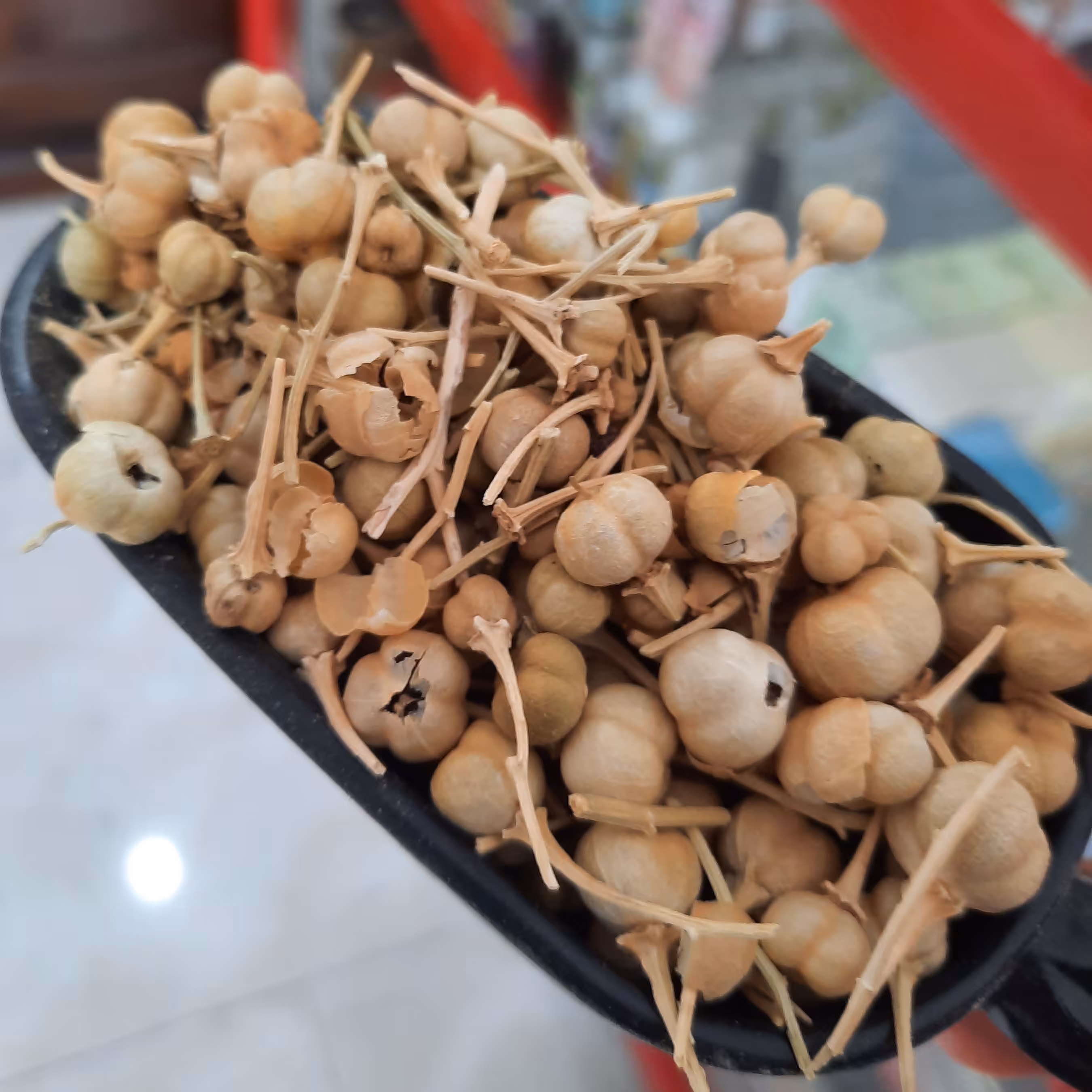 اسپند نخودی