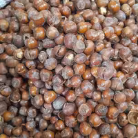 فندق با پوست شور  (1000گرم)