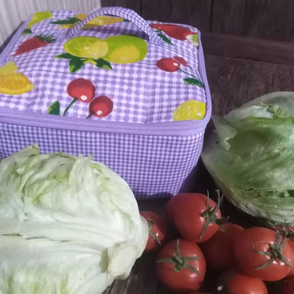 باکس میوه وسبزیجات دریخچال باطرحهای و رنگها ی متنوع