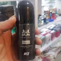 مام پگاسوز شرکتی 