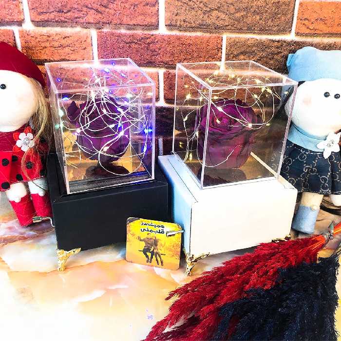 رز جاودان صدرا رز مدل موزیکال هندلی کد بنفش M 006
