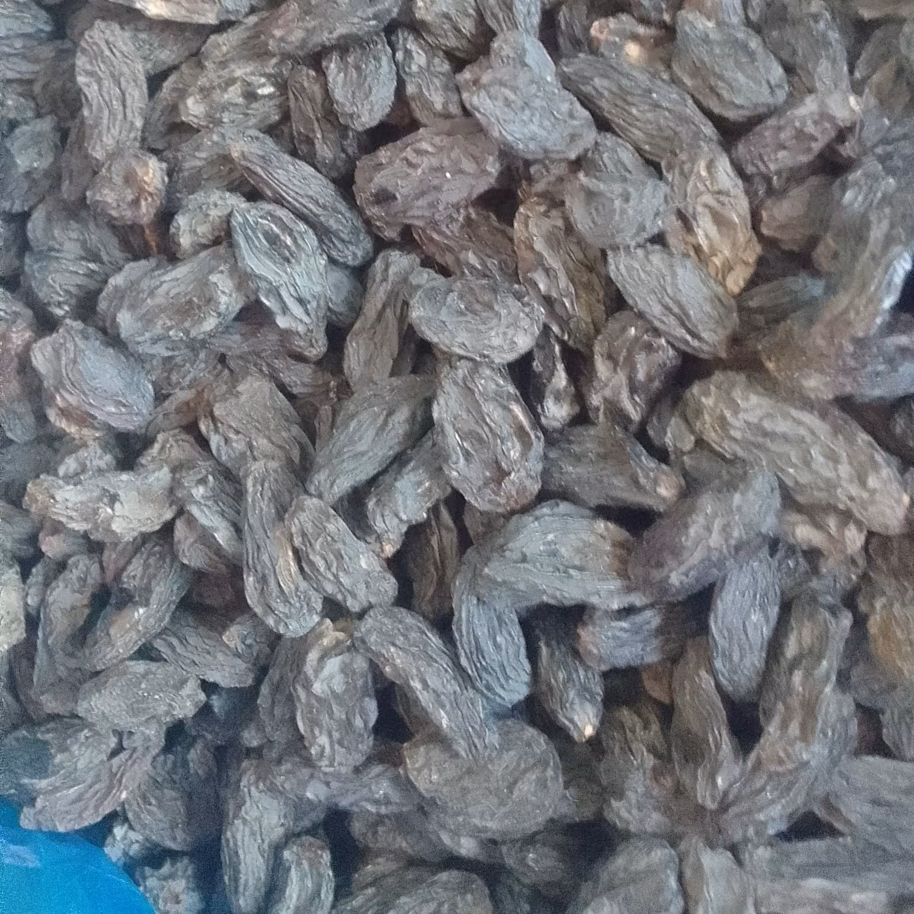 مویز ازبک درشت بی دانه ( 1000 گرم)