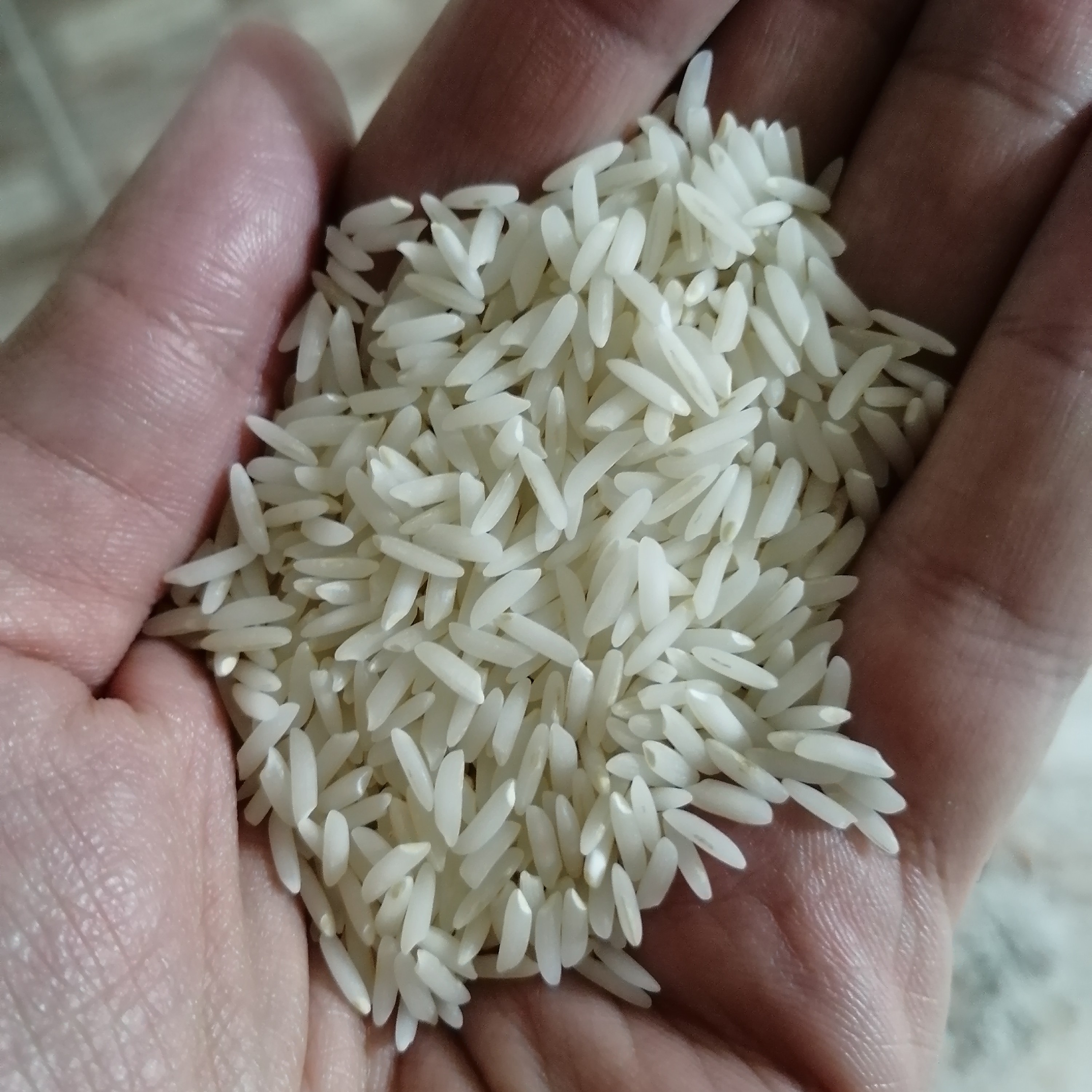 برنج  درجه یک  هاشمی 1402 (نمونه 1.5 کیلویی)