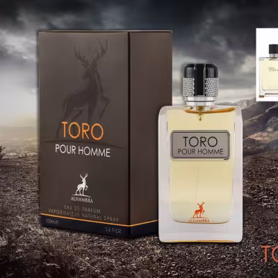 عطر ادکلن مردانه تق هرمس الحمبرا (Alhambra Hermes Terre d Hermes) - ارسال رایگان - ضمانت اورجینال بو
