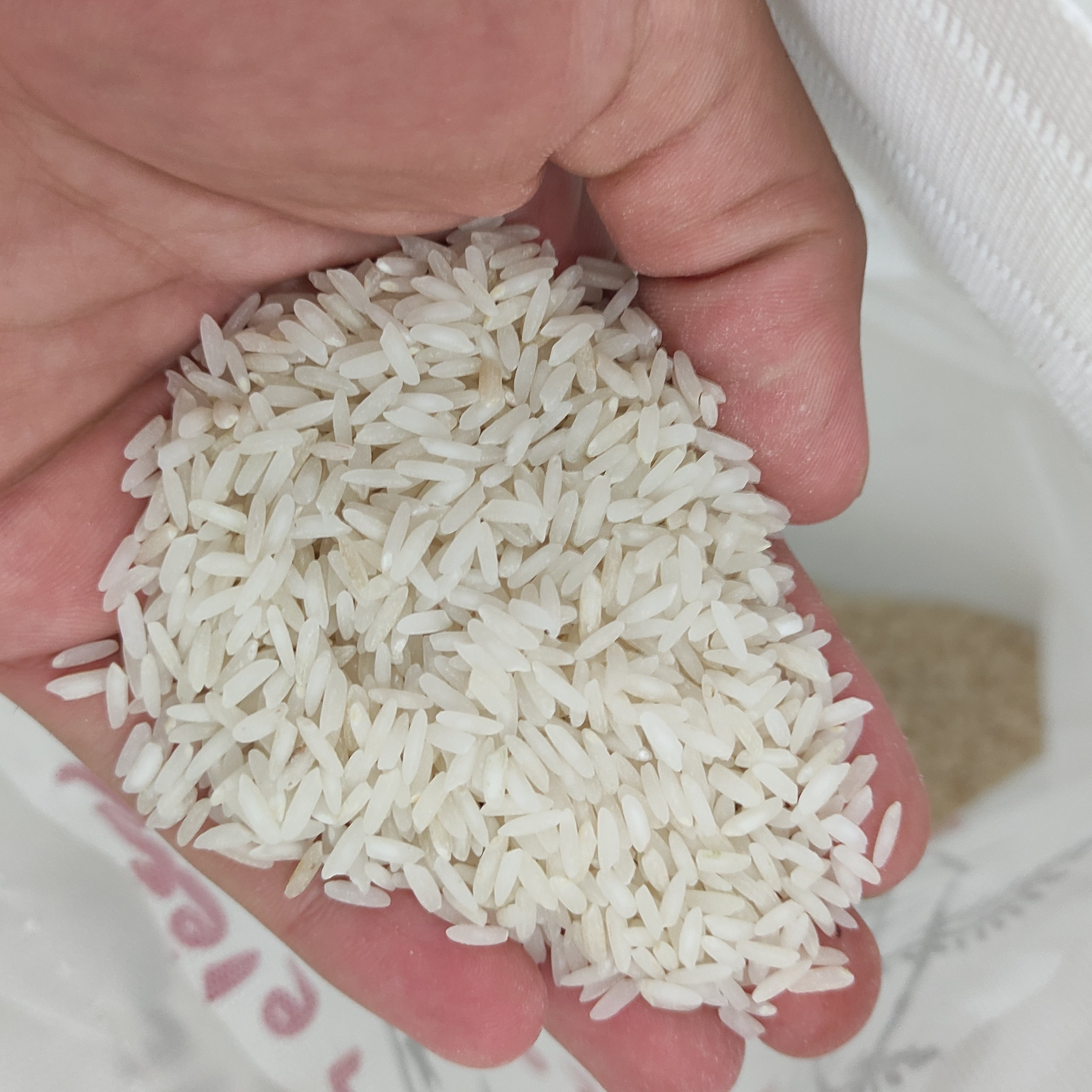 برنج طارم کشت دوم بسیار خوشبو