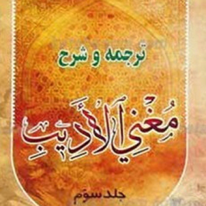 ترجمه و شرح مغنی الادیب جلد3 صفایی بوشهری