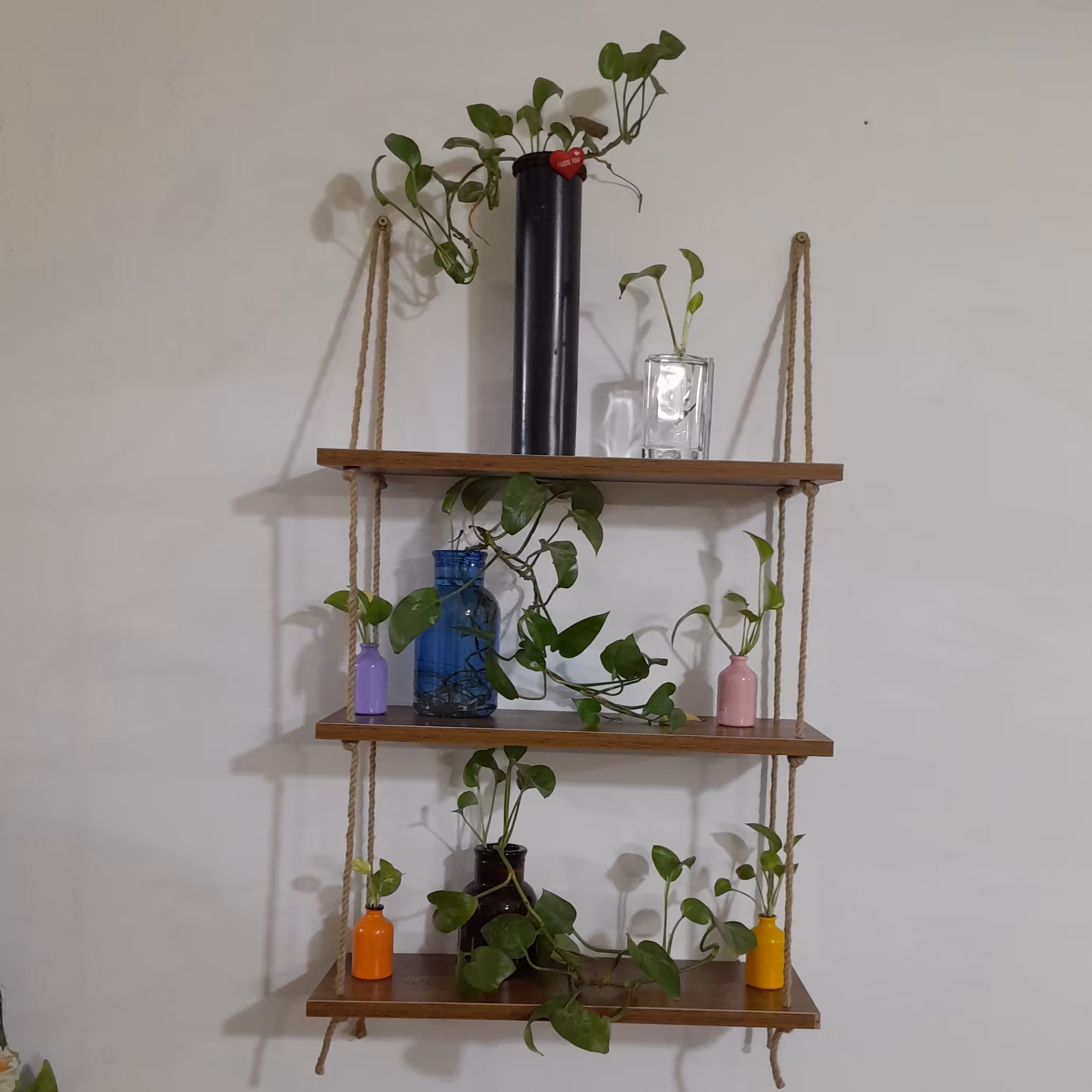 استند گل و گیاه شلف پایه گل