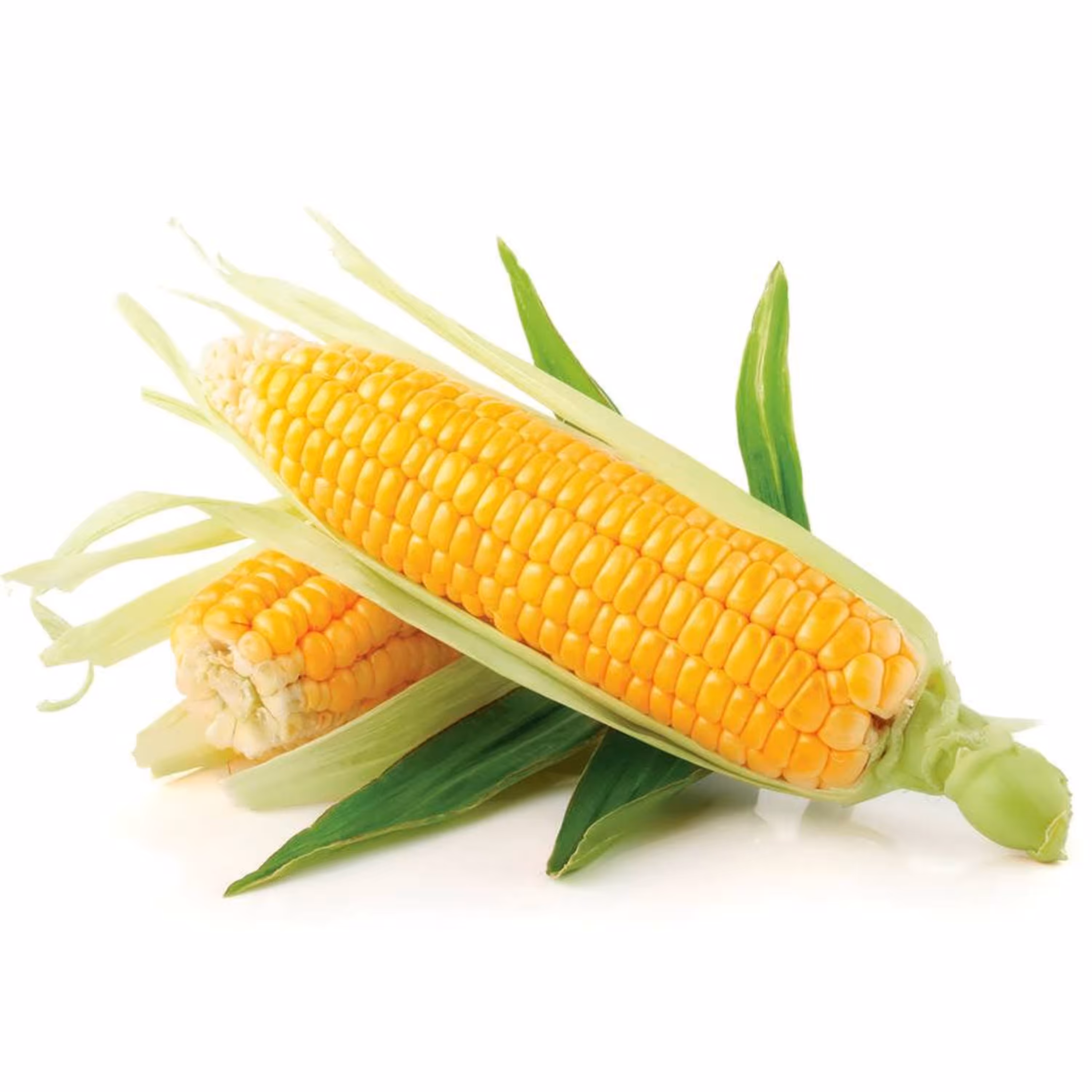 بذر ذرت شیرین