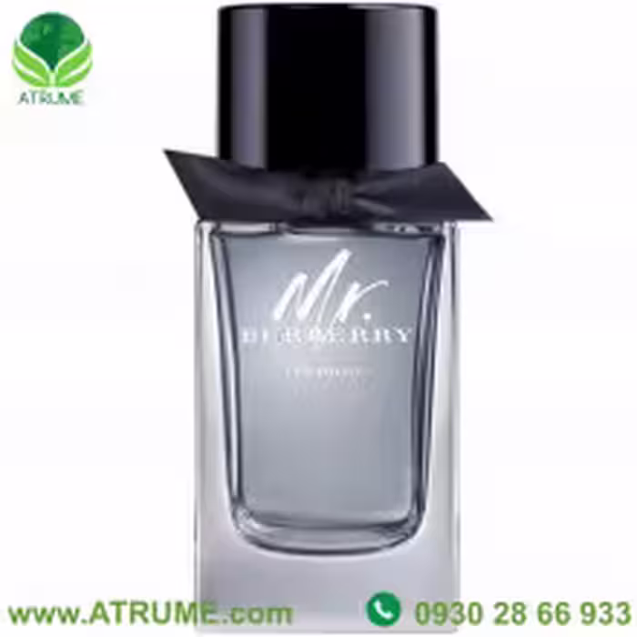 عطر ادکلن باربری مستر باربری ایندیگو 100 میل مردانه