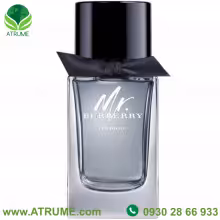 عطر ادکلن باربری مستر باربری ایندیگو 100 میل مردانه