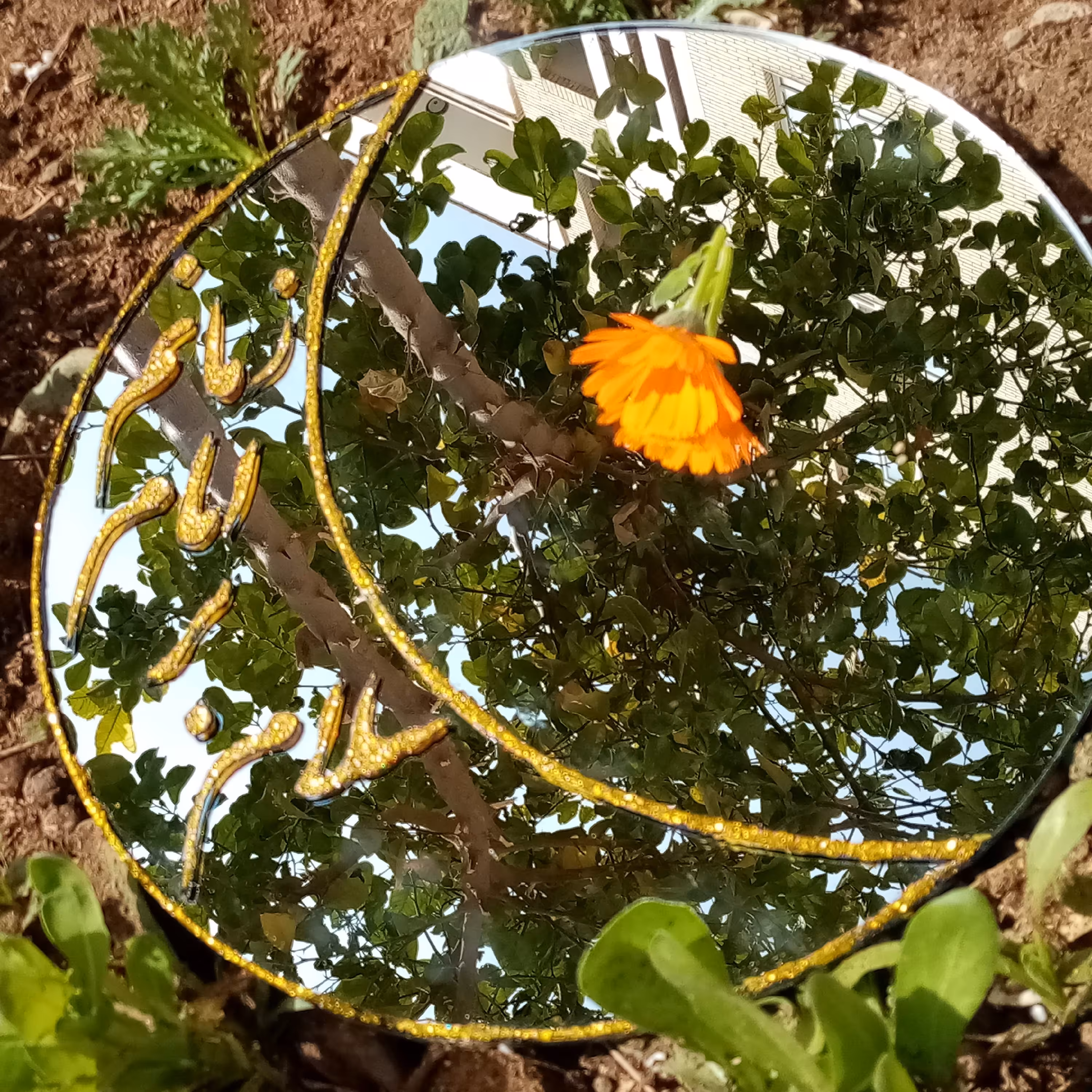 آیینه ویترای