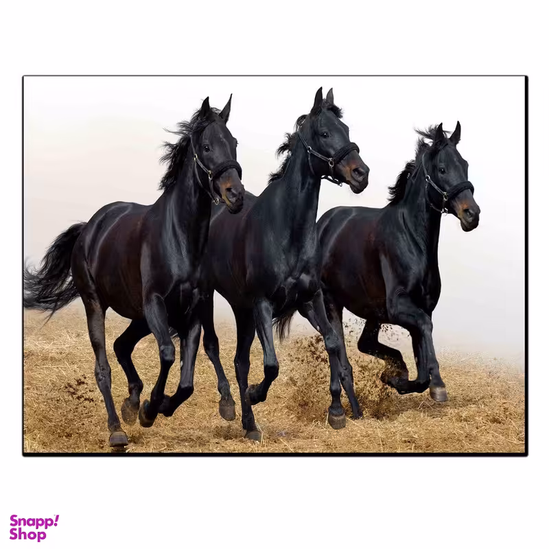 تابلو شاسی بکلیت طرح اسب سیاه مدل SH-11804