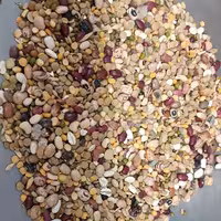 حبوبات مخلوط مخصوص آش