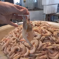 میگو سرتیز بوشهر سایز 90یعنی 80 تا 90 عدددر یک کیلو .ارسال رایگان فقط یک عدد یخدان ثبت سفارش کنید ارسال فقط با اتوبوس 