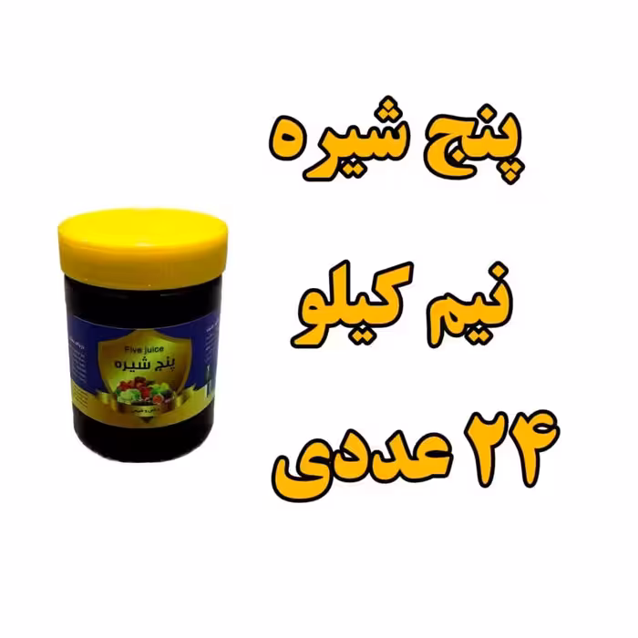 پک 24 عددی پنج  شیره طبیعی انگور انجیر خرما  توت و سیب   500 گرمی 