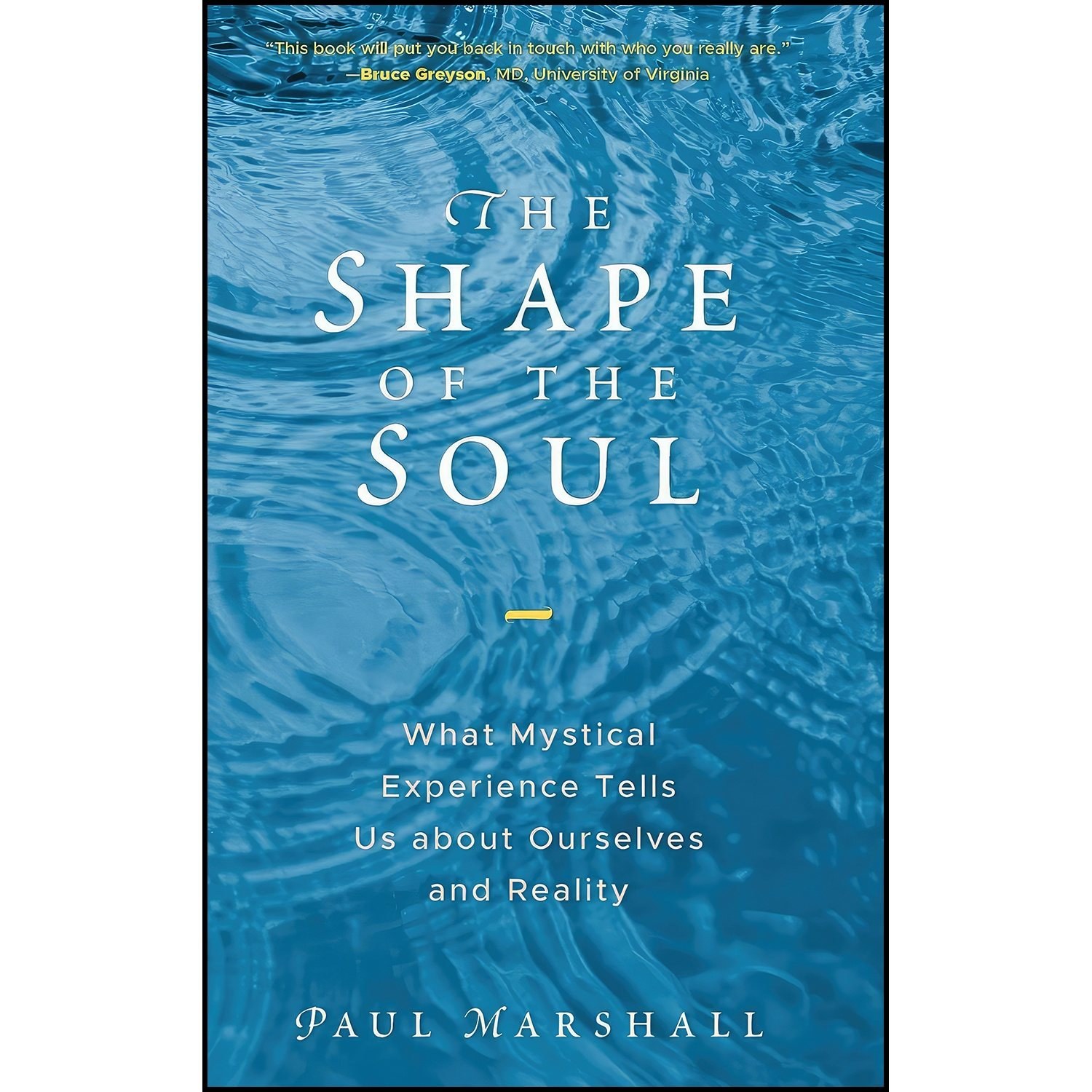 کتاب زبان اصلی The Shape of the Soul اثر Paul Marshall