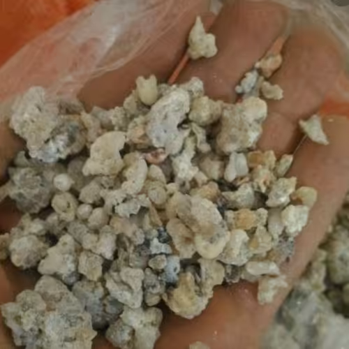 بید خشت اصل 