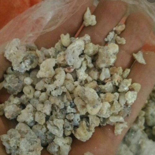 بید خشت اصل 