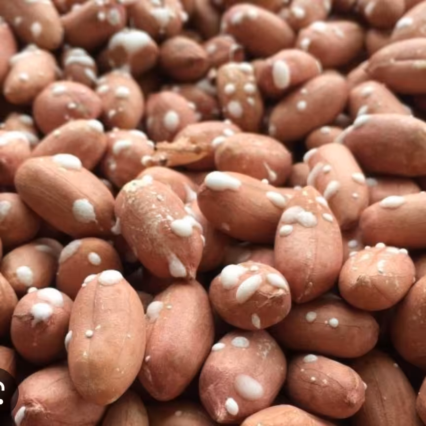 بادام زمینی آستانه درجه یک به قیمت عمده