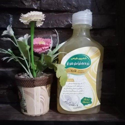 شامپو زرده تخم مرغ، عالی برای بسته شدن منافذ باز پوست سر جهت پیشگیری از ریزش مو، ویژه موهای کم پشت، ارسال فوری