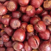 فندق شور