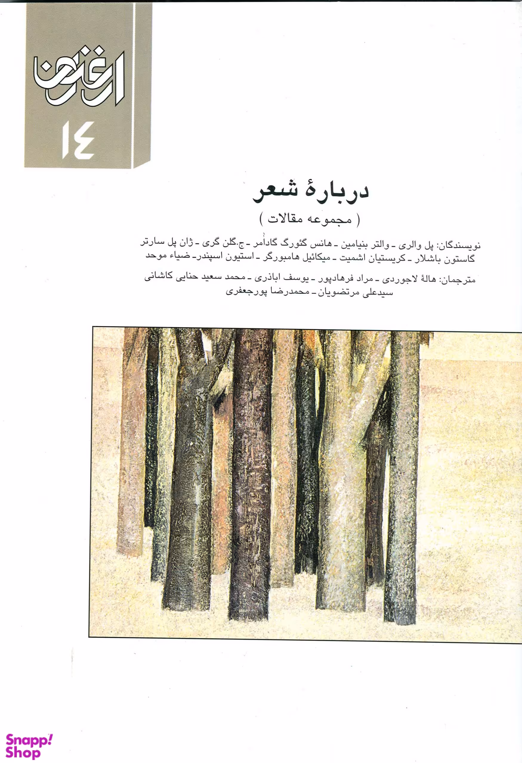 درباره شعر ارغنون 14
