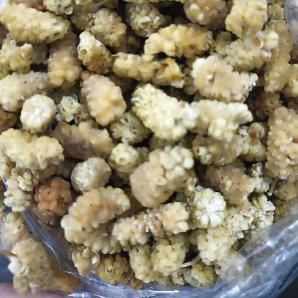 توت خشک