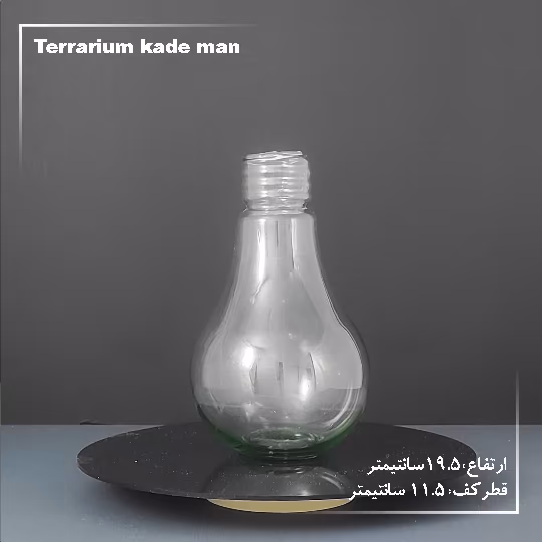 گلدان و شیشه تراریوم لامپی