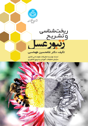 کتاب ریخت‌ شناسی و تشریح زنبور عسل