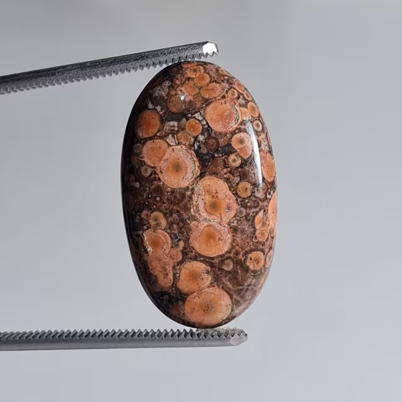 نگین قیمتی پوپی جاسپر اصل 5985