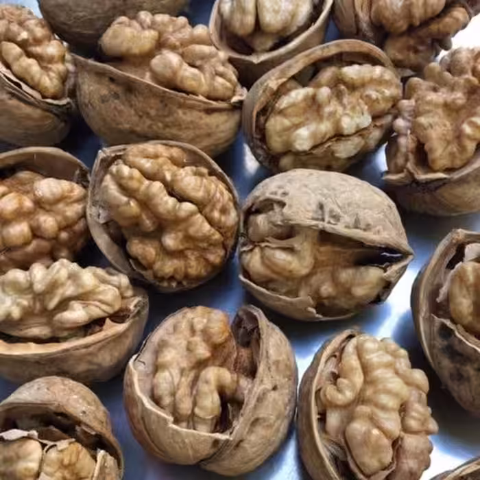 گردو با پوست کاغذی2 کیلوگرم(2000 گرم خالص)