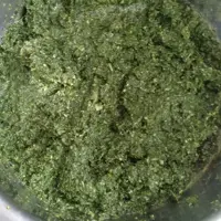 دلال ماست