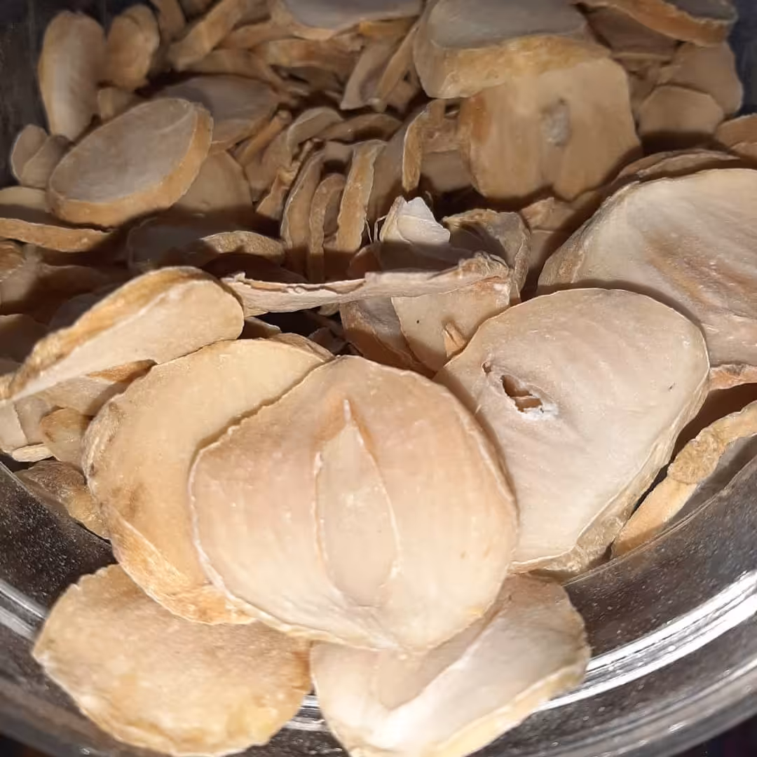 موسیر 100 گرمی 