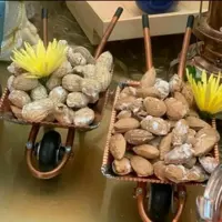 فرغون سایز کوچک