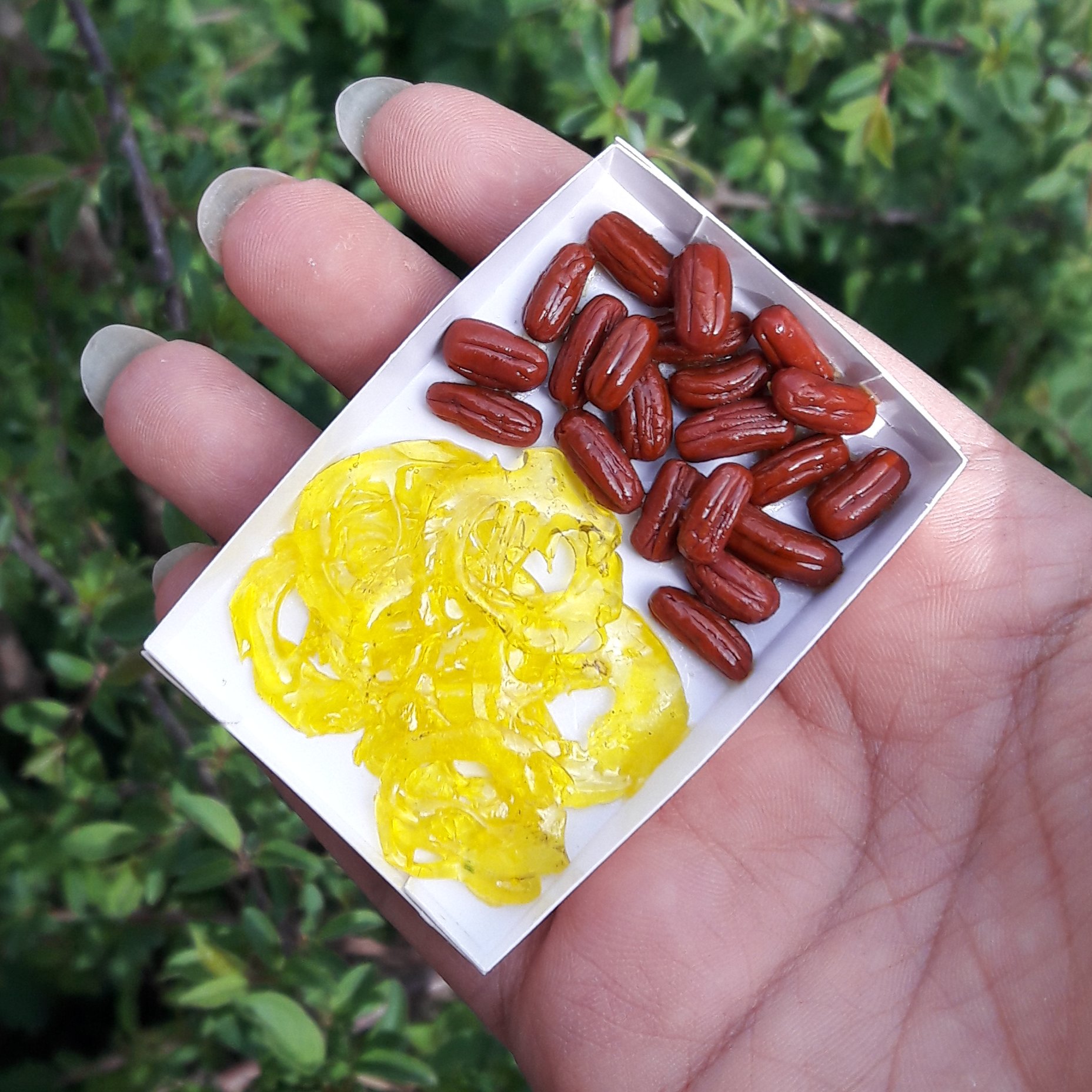 مگنت زولبیاوبامیه