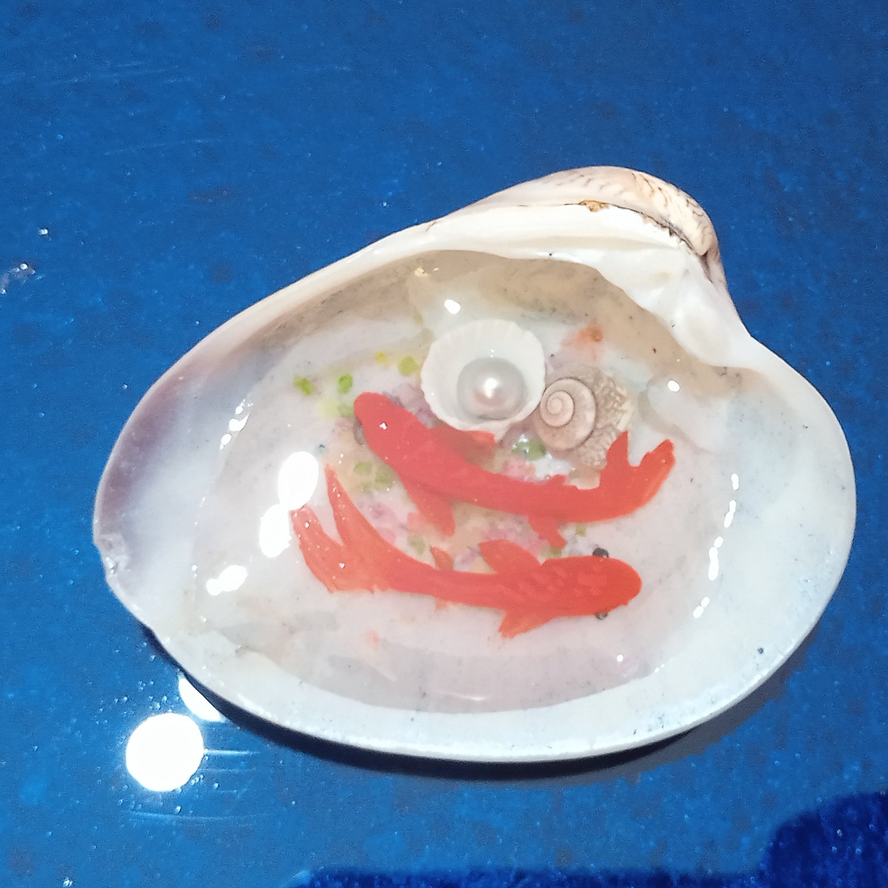 ماهی در صدف جفت