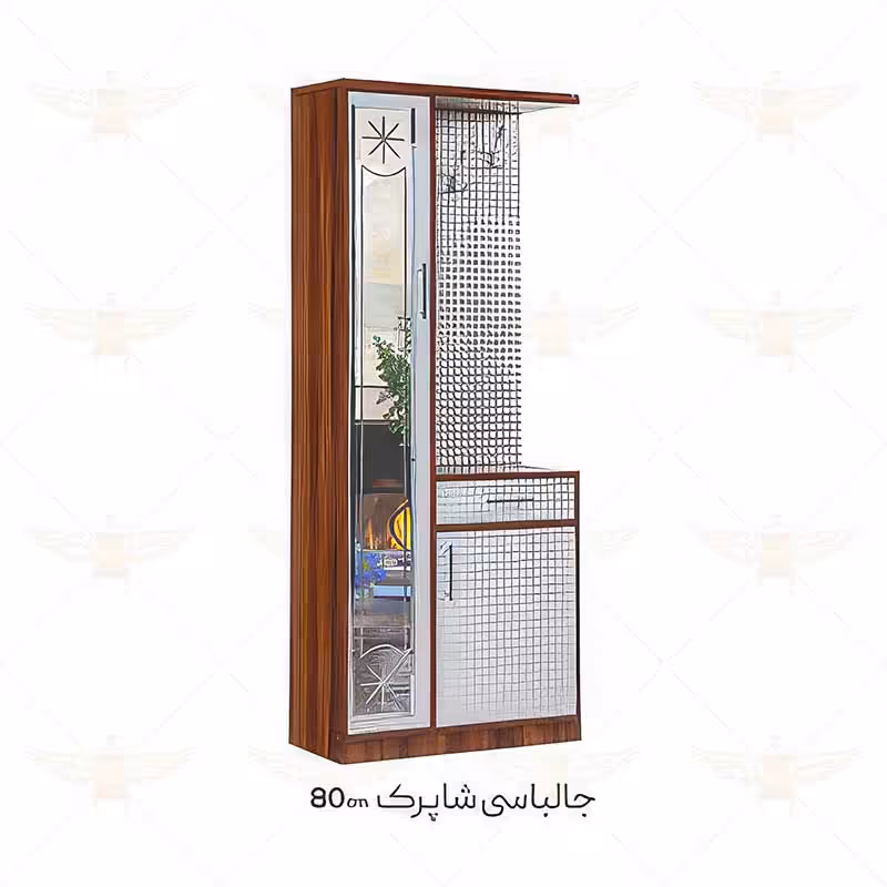 جالباسی و جاکفشی شاپرک