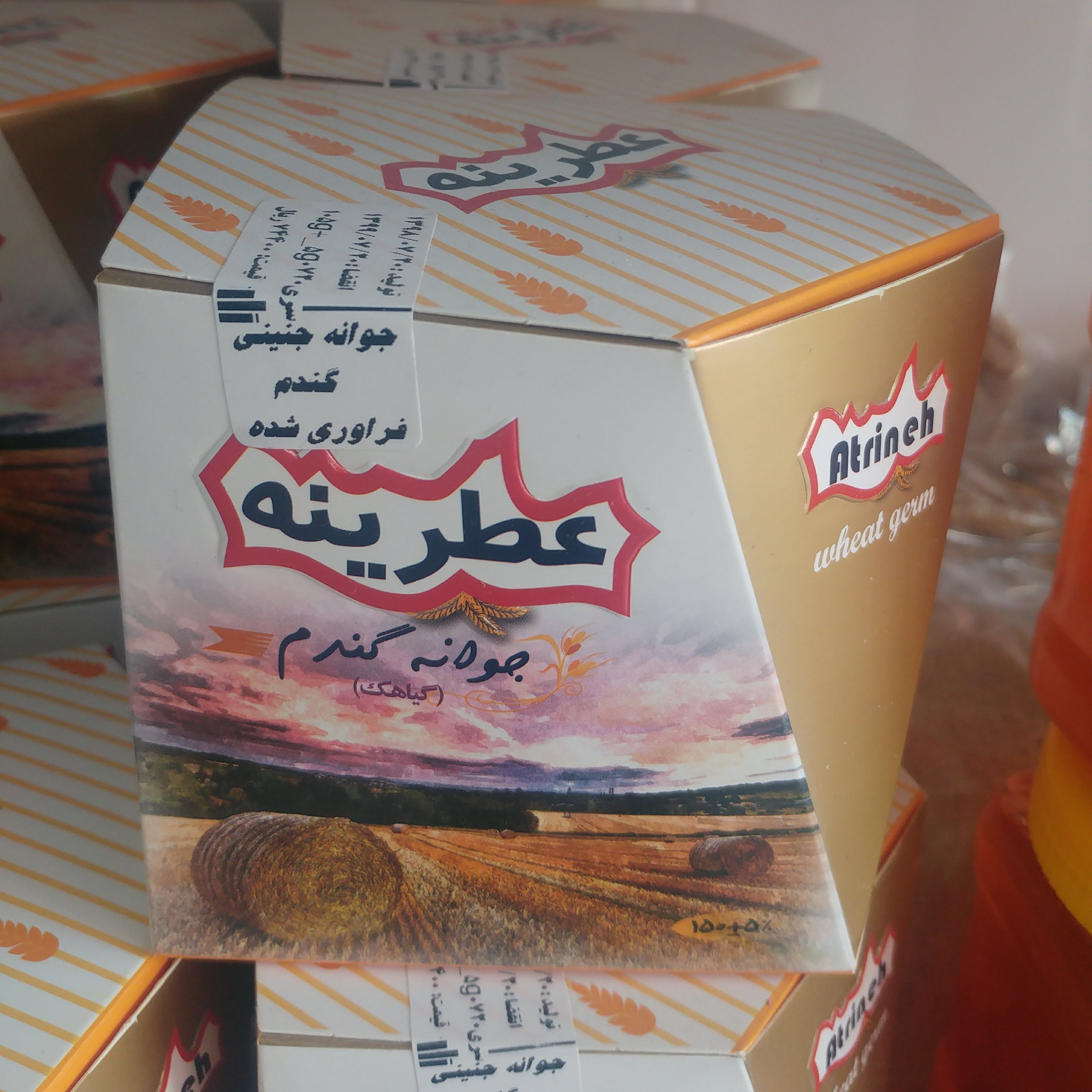 جنین گندم