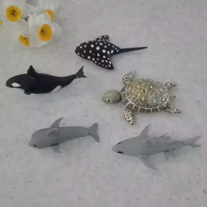 پک آبزیان دریایی مینیاتوری شامل نهنگ کوسه لاک پشت دلفین و سفره ماهی