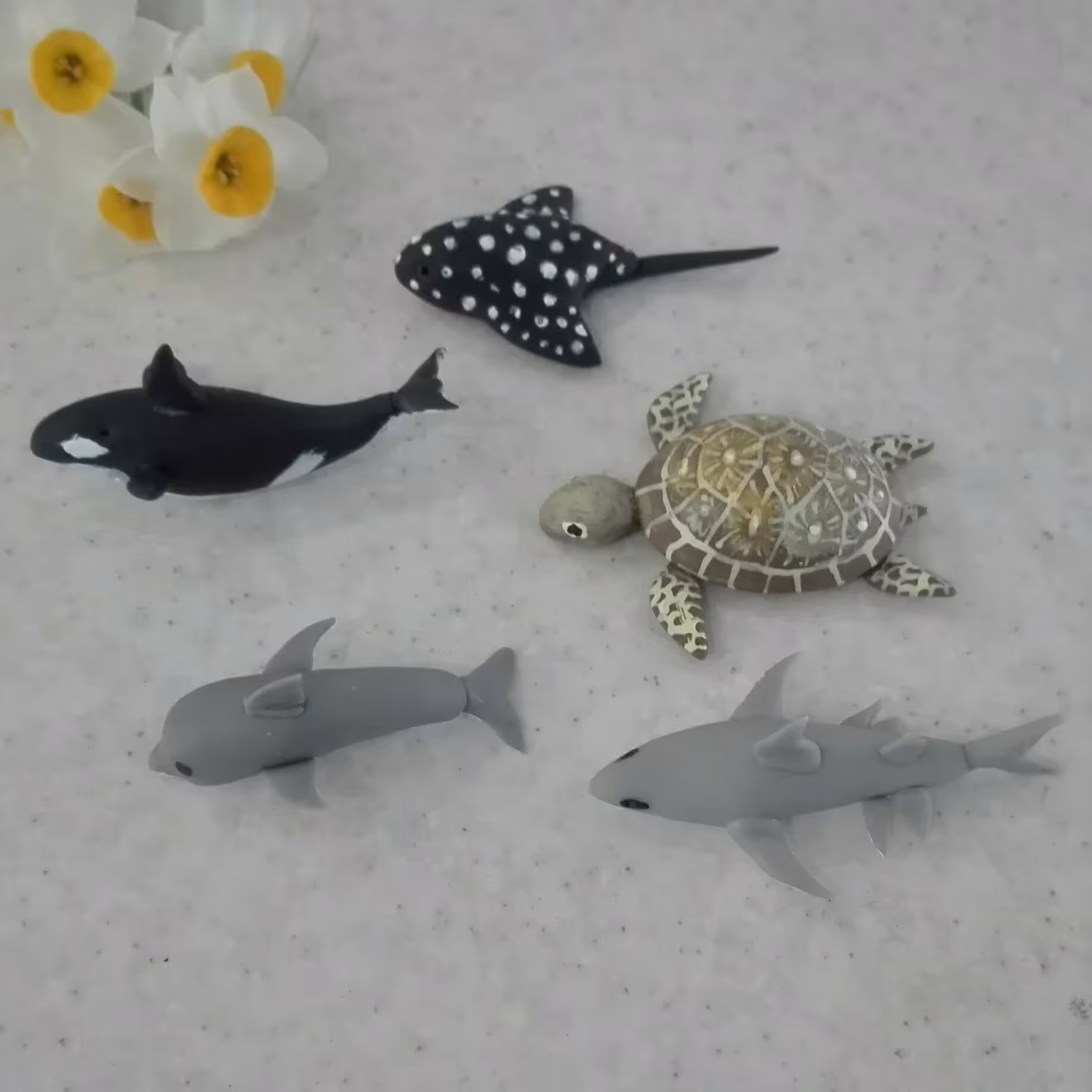 پک آبزیان دریایی مینیاتوری شامل نهنگ کوسه لاک پشت دلفین و سفره ماهی