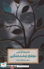 قیمت و خرید کتاب دو هزار چشم غمگین اثر علیرضا کلیایی | ایده بوک